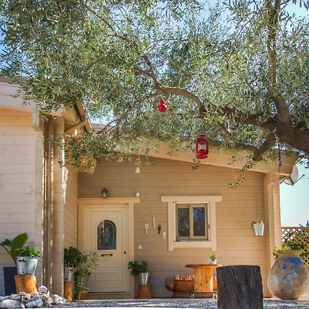Driftwood Villa Karavados Luaran gambar